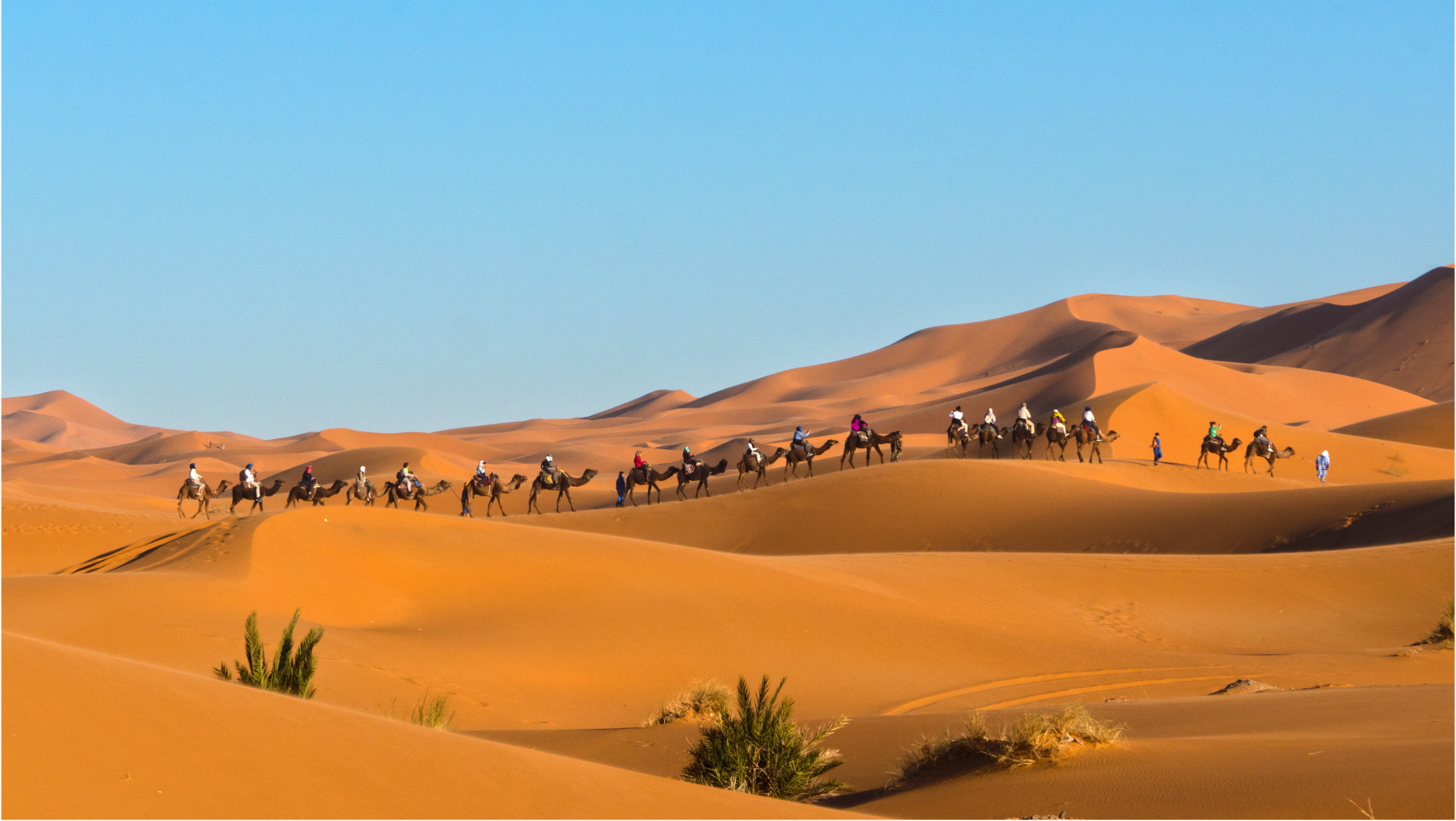 8 DAYS MARRAKECH DESERT ODYSSEY TO TANGIER