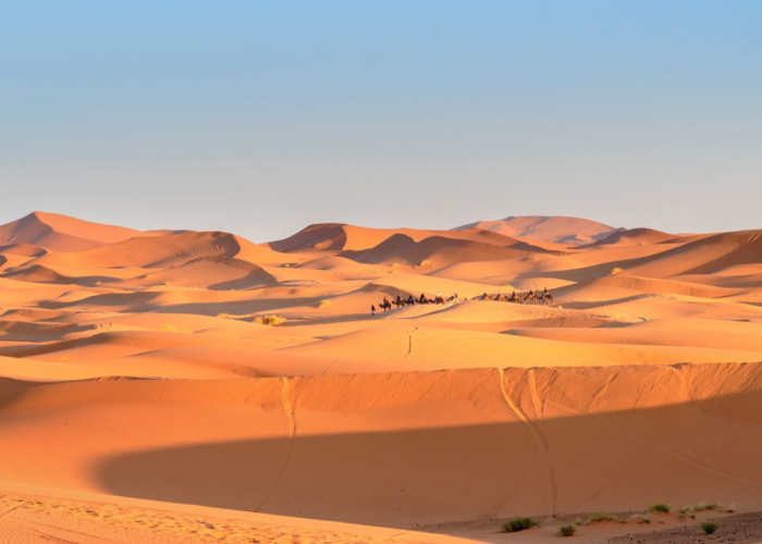 Fes To Merzouga Desert Tours